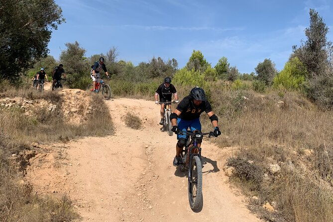 mountain-bike-tour-font-de-la-mata-3