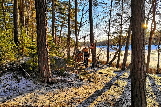mountain-biking-small-group-in-stockholm-forests-for-beginners-2