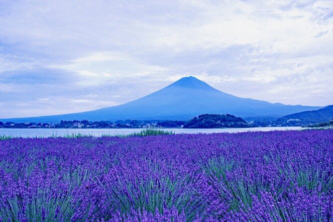mt-fuji-and-lake-kawaguchiko-private-tour-by-car