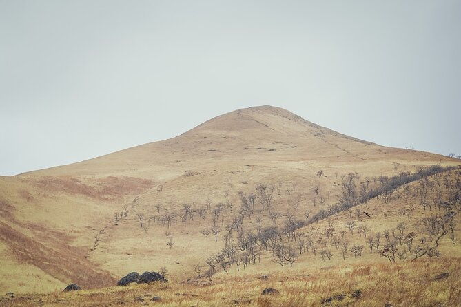 mt-yufu-grassland-private-hiking-and-lunch