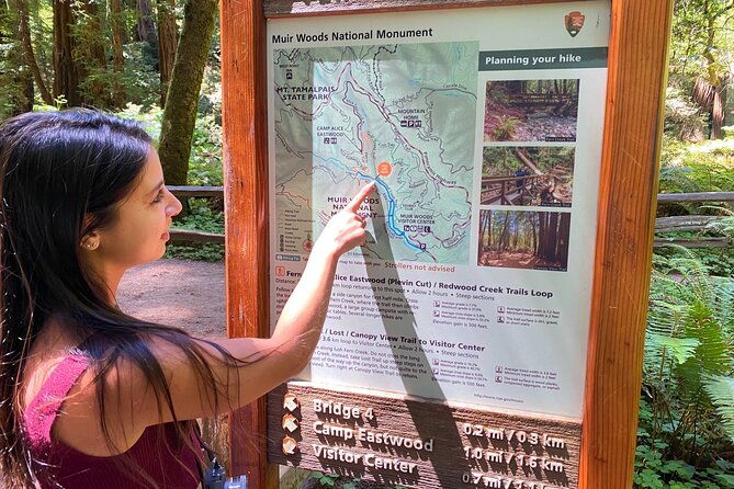 muir-giant-redwood-trees-3-hour-private-tour-w-golden-gate-bridge