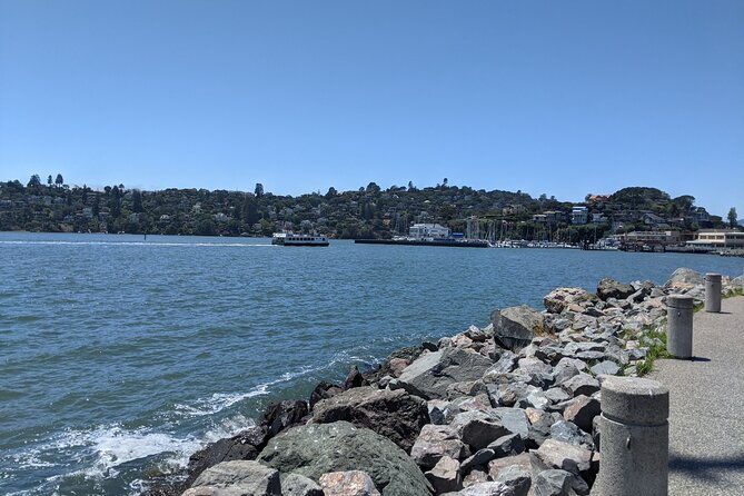 muir-woods-sausalito-and-tiburon-day-trip-from-san-francisco