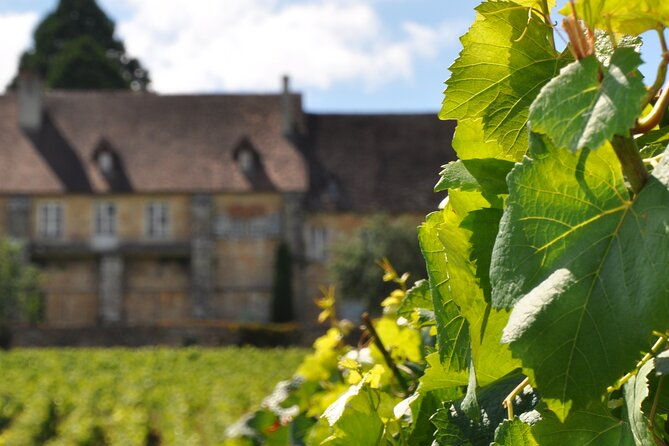 multi-day-private-tour-prestige-burgundy-with-12-premiers-grands-crus