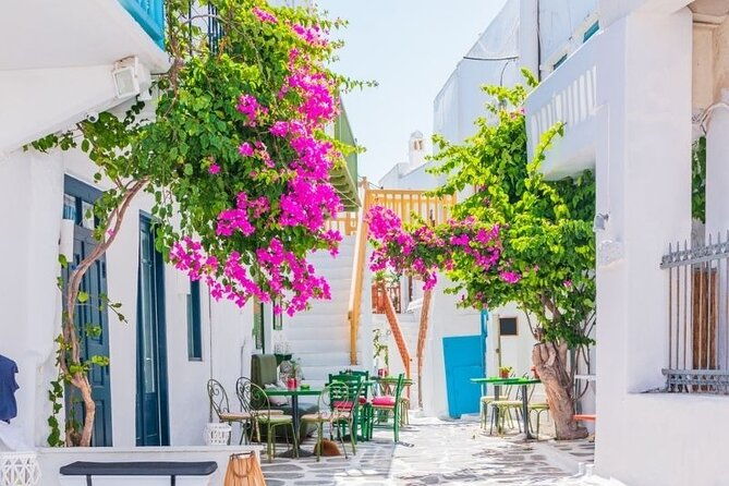 mykonos-tour-from-cruise-port-including-little-venice-windmills