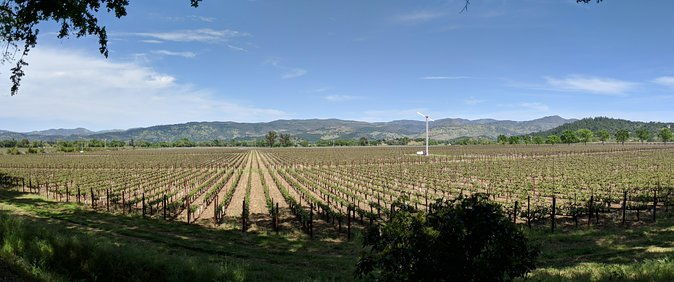 napa-and-sonoma-valley-wine-6-hour-tour-from-san-francisco