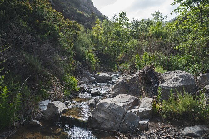 nature-adventure-with-private-transport-to-waterfall-and-more