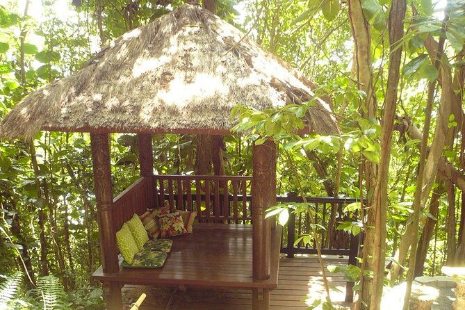 nature-and-sightseeing-tour-at-phantasea-tropical-botanical-garden