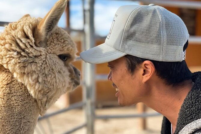nature-health-farms-petting-zoo-alpaca-farm-pahrump-death-valley