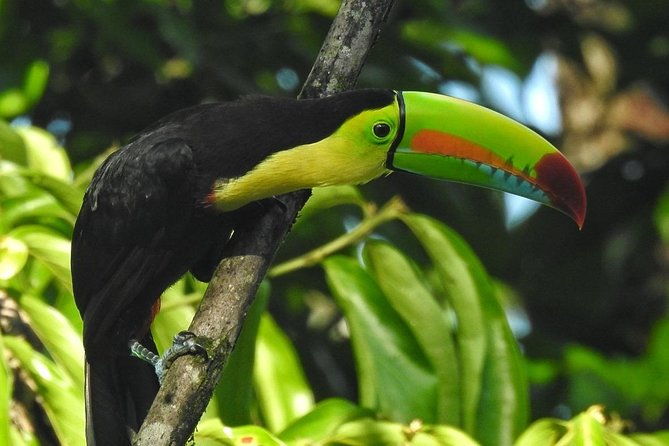 nature-hike-in-la-fortuna
