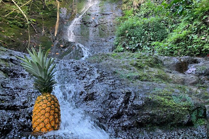 nature-hike-to-waterfall