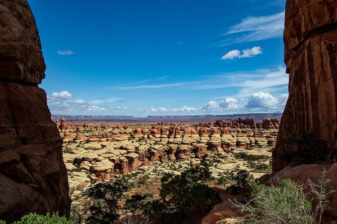 new-canyonlands-needles-chesler-park-hiking-discovery-tour