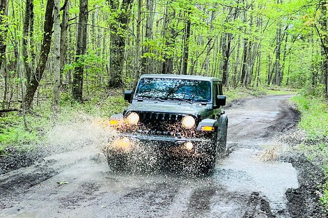 new-river-gorge-jeep-tour-half-day