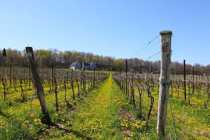 niagara-county-wine-tour-and-tasting