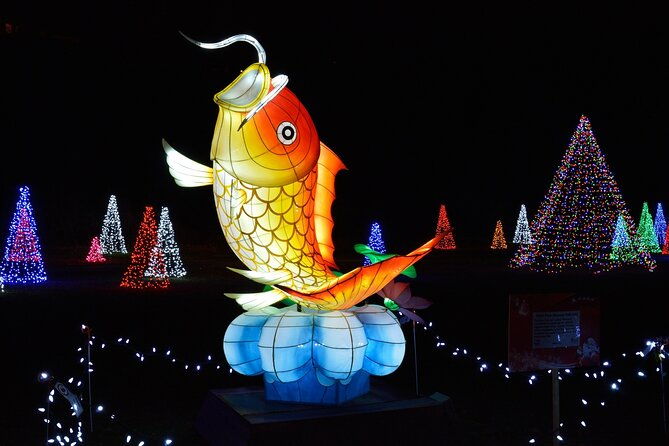 niagara-falls-night-illumination-tour-holiday-edition
