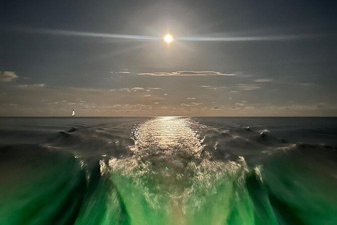 night-tour-glass-bottom-boat-in-islamorada