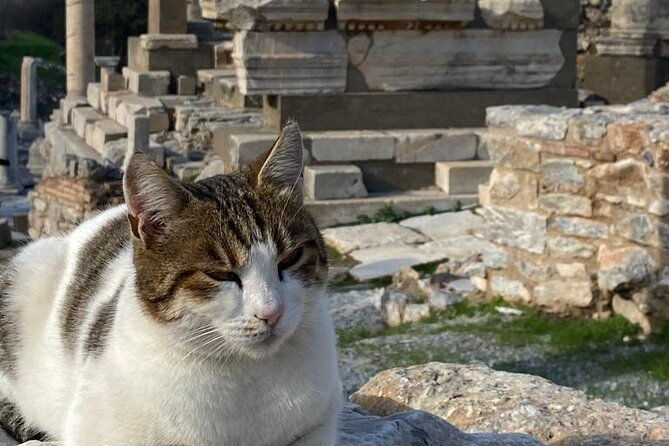 no-hidden-costs-ephesus-virgin-marys-house-st-john-basilica