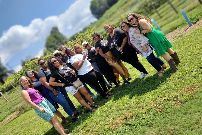 north-georgia-mountains-three-vineyard-wine-tasting-tour