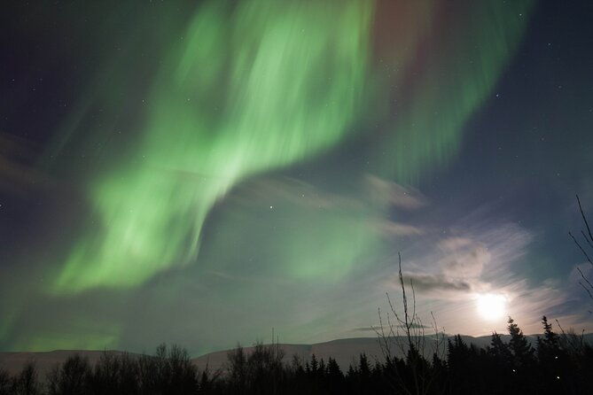 northern-lights-4x4-tour-from-akureyri