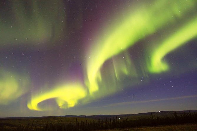 northern-lights-viewing-including-dinner-and-1-hour-dog-sledding