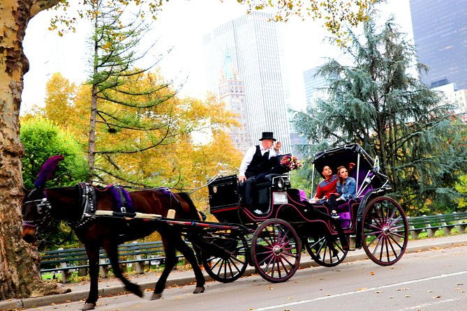 nyc-horse-carriage-ride-in-central-park-50-min-up-to-4-adults