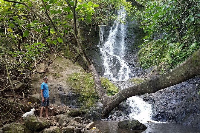 oahu-hidden-waterfall-hike-a-tropical-paradise-adventure