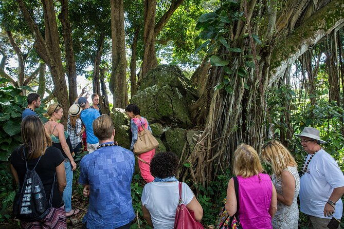 oahu-personalized-private-tour-3