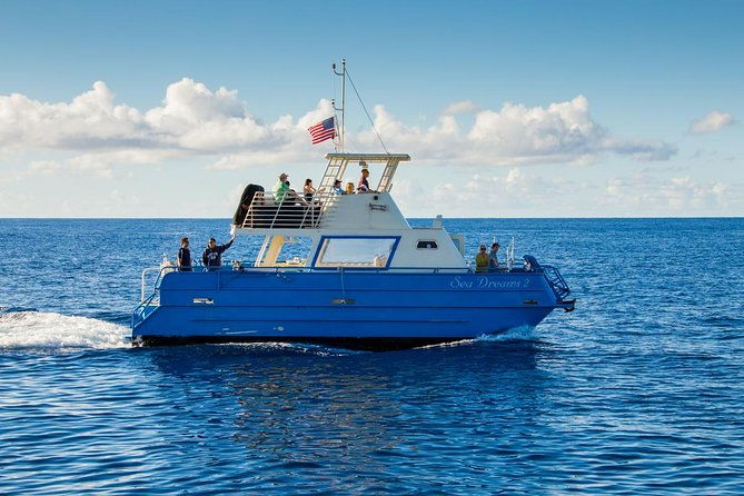 oahu-whale-watching-excursion