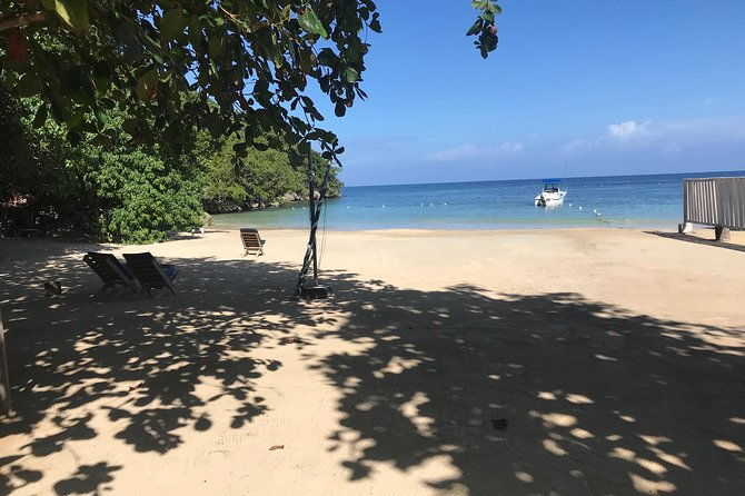 ocho-rios-city-bus-tour-beach-sightseeing-shopping