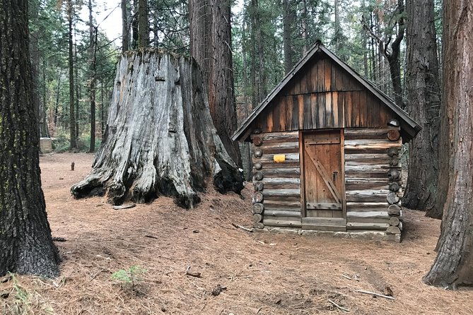 off-road-giant-sequoia-4x4-tour-2