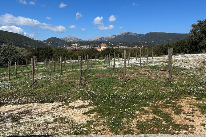 off-road-wine-fiesta-at-cephalonia