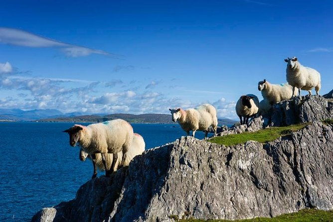 off-the-beaten-path-private-tour-of-ring-of-kerry