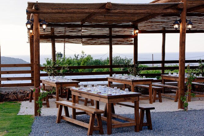 olive-oil-festival-in-cretan-farm-with-traditional-dinner-2