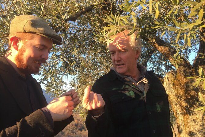 olive-oil-private-full-day-tour-with-tasting-in-valencia