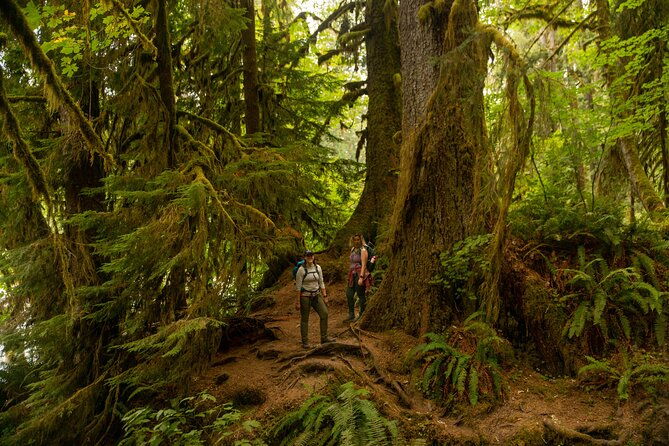 olympic-full-day-private-tour-and-hike