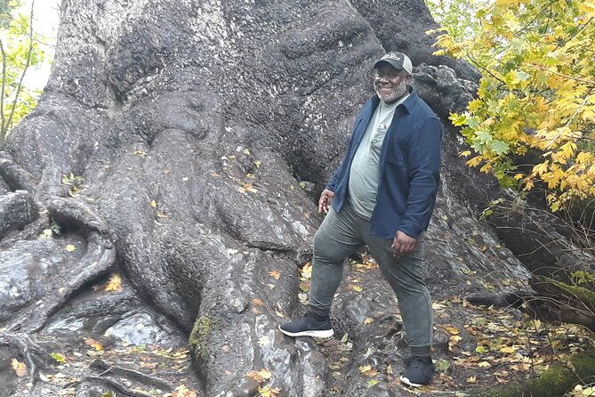 olympic-peninsula-and-forest-tour
