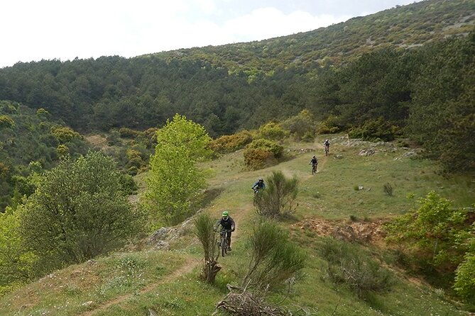 olympus-mountain-biking-rides-tailored-to-you