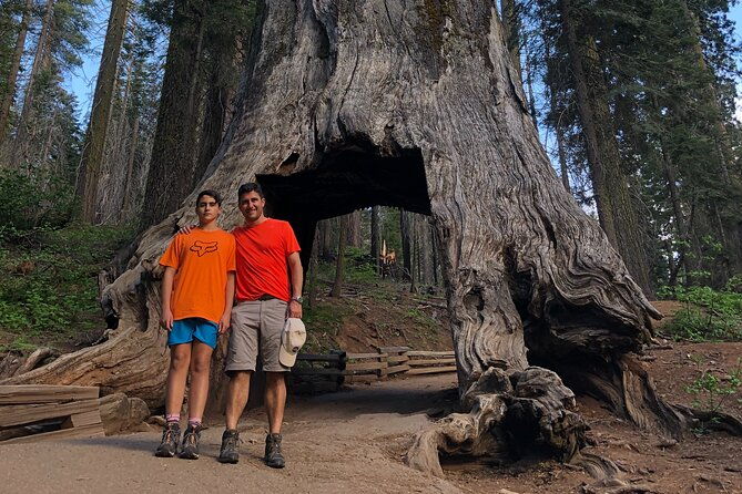 one-day-in-yosemite-private-touryosemite-valley-glacier-point-giant-sequoias-2
