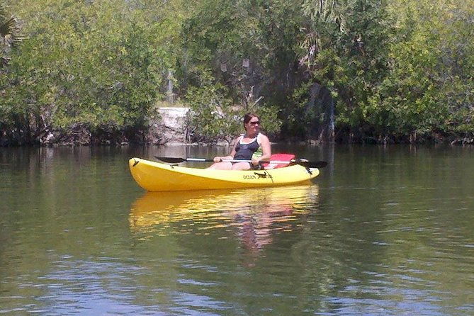 one-single-kayak-rental-for-2-hours-with-manatee-dolphin-sightings