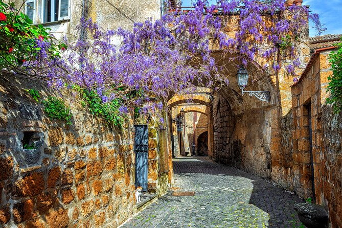 orvieto-and-civita-di-bagnoregio-from-civitavecchia-private-tour