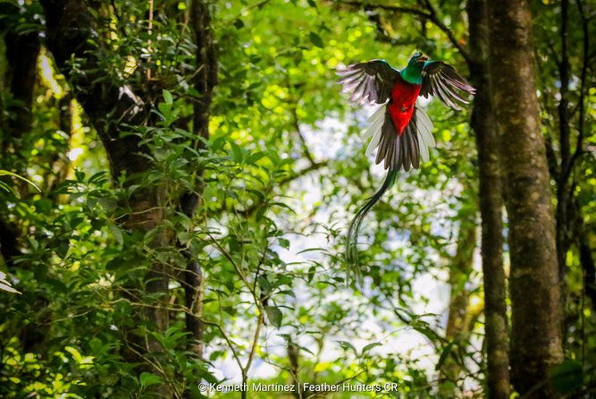 package-monteverde-cloud-forest-curi-cancha-reserve-night-hike-private