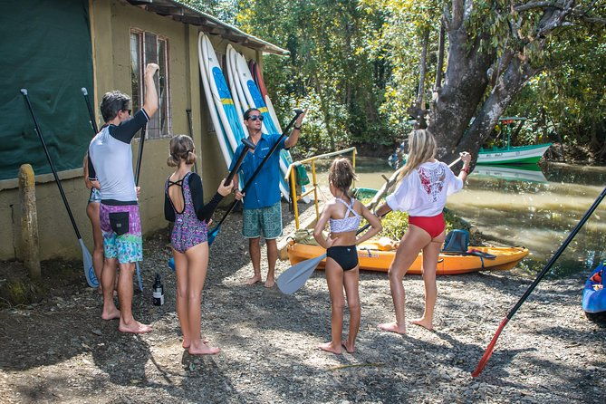 paddle-board-mangrove-tour