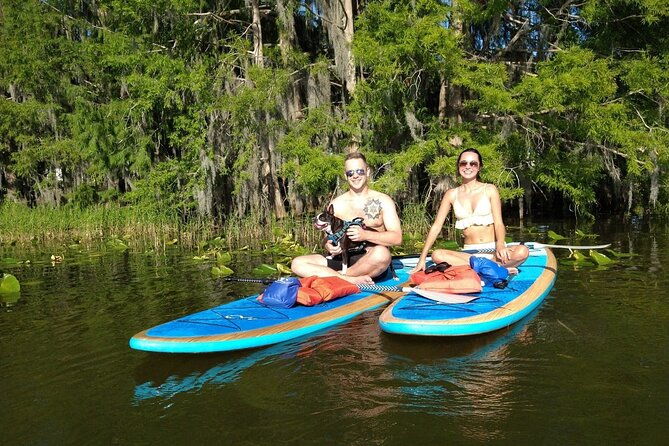 paddle-with-pups-in-paradise-paddleboard-or-kayak