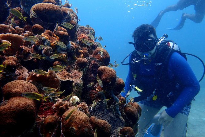 padi-open-water-diving-course