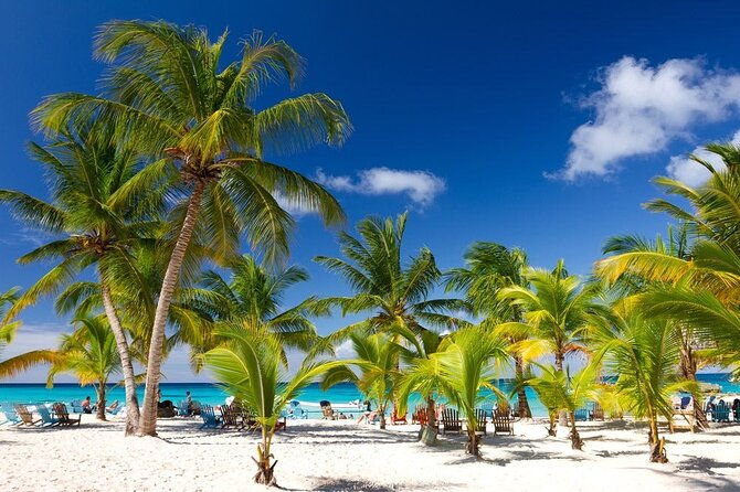palladium-punta-cana-round-trip-shuttle-punta-cana-airport