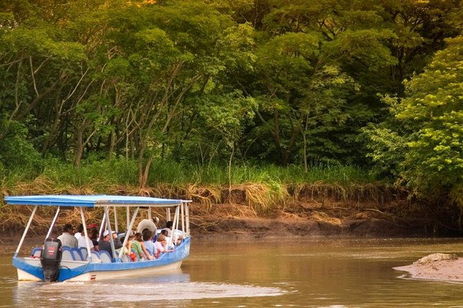 palo-verde-wetlands-full-experience