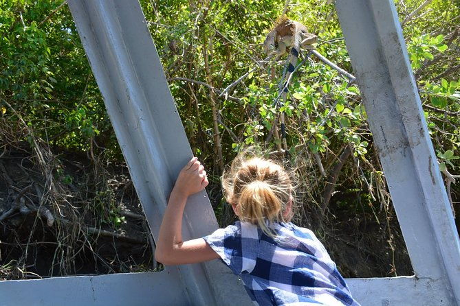 palo-verde-wildlife-tour-from-playa-hermosa-coco-beach