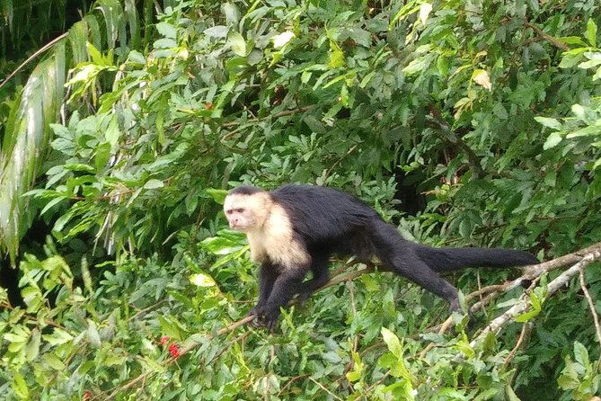 panama-canal-with-entrance-included-and-gatun-lake-boat-tour