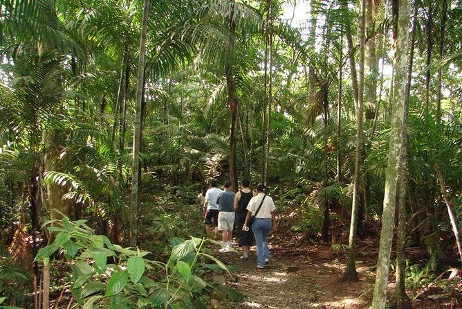 panama-city-metropolitan-park-trail-tour