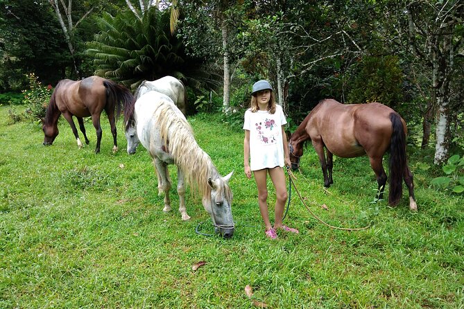 panamas-farming-region-on-horseback