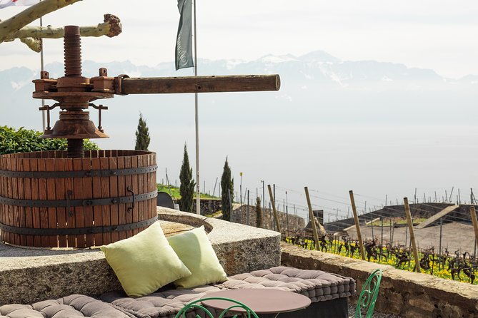 panoramic-wine-tour-from-lausanne-2